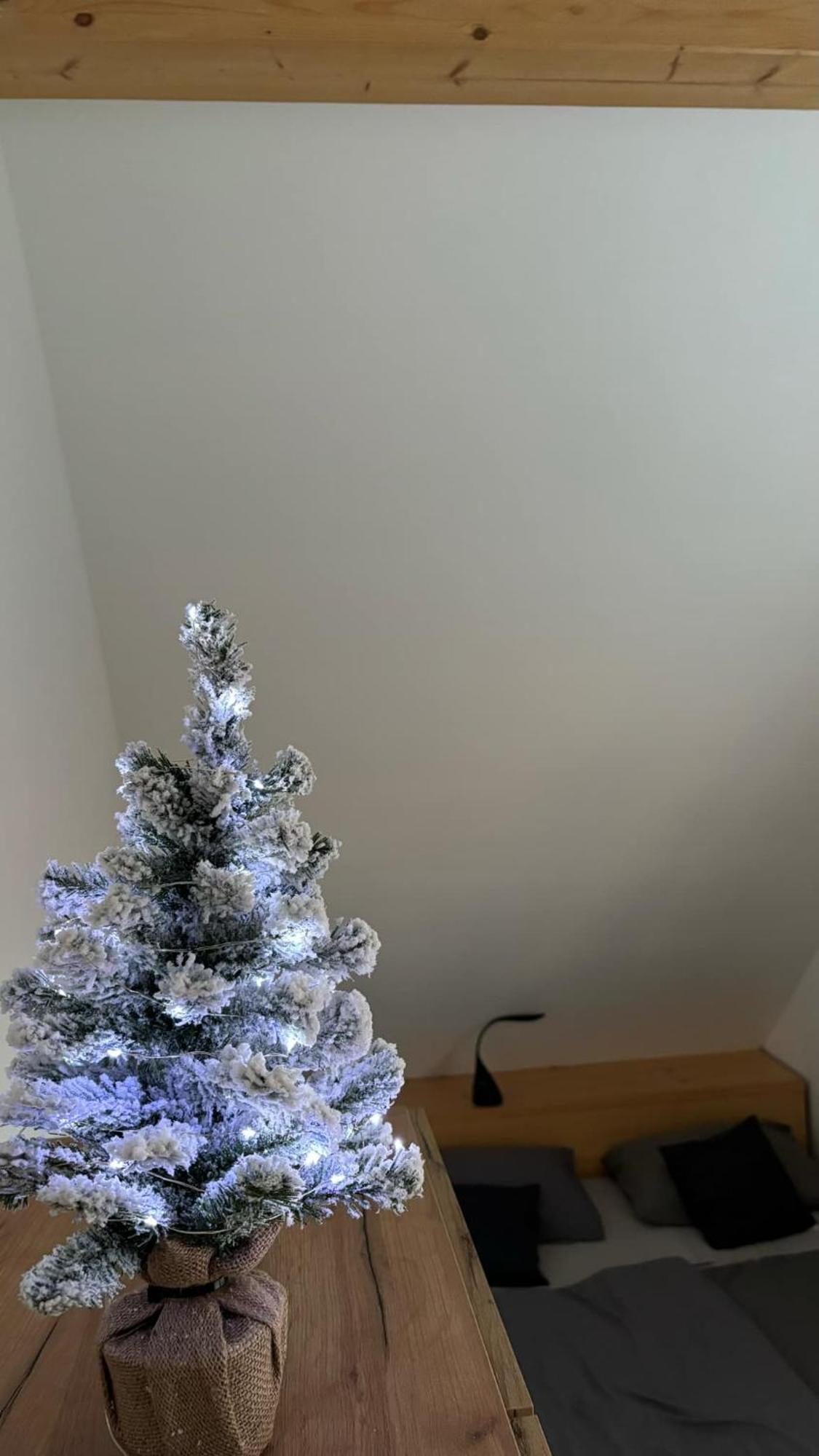 Bella Apartment Zirovnica Εξωτερικό φωτογραφία